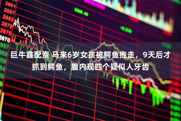 巨牛鑫配资 马来6岁女孩被鳄鱼拖走，9天后才抓到鳄鱼，腹内现四个疑似人牙齿